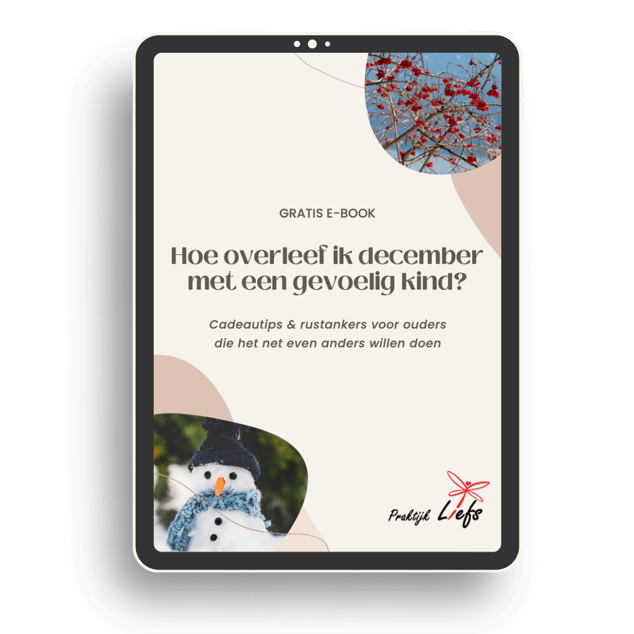 Mockup december ebook
